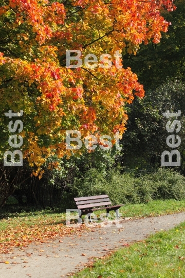 Autumn