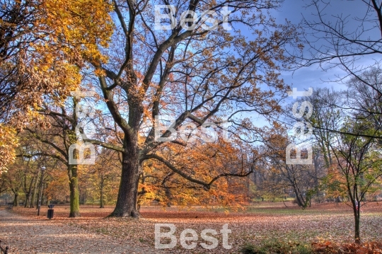 Autumn