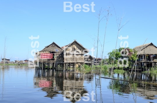 Bamboo house