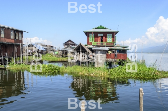 Bamboo house