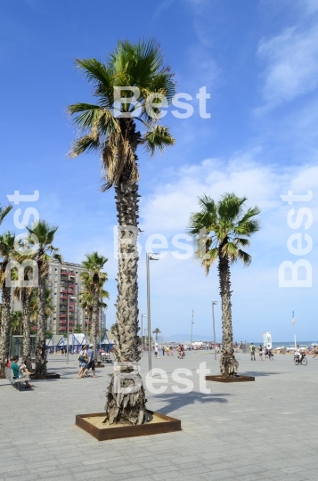 Barceloneta beach