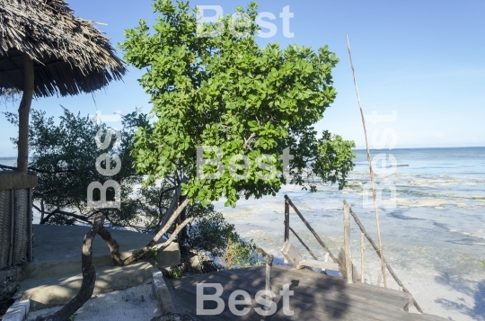 Beach at Zanzibar