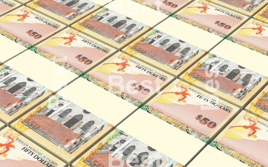 Bermuda dollars bills stacks background.