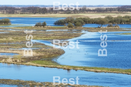 Biebrza National Park