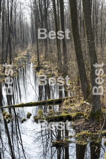 Biebrza National Park