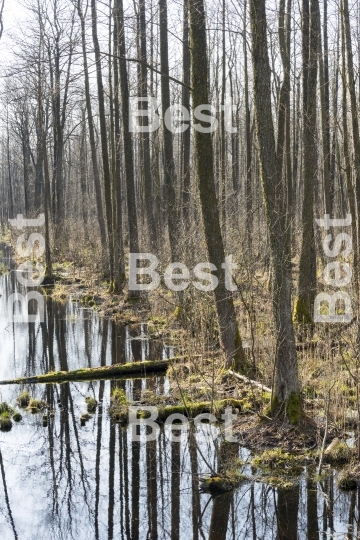 Biebrza National Park