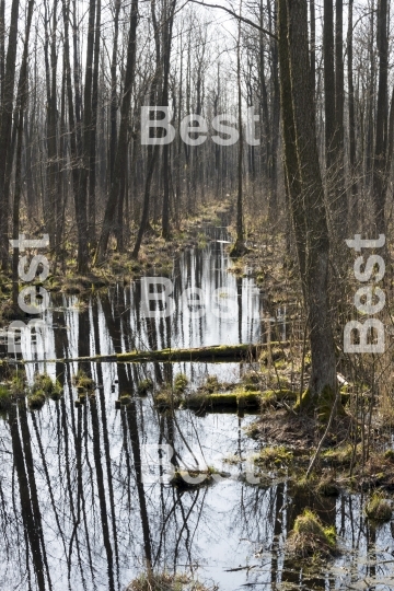 Biebrza National Park