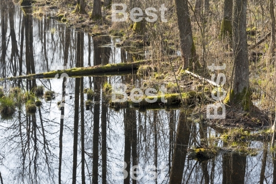 Biebrza National Park