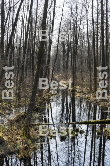Biebrza National Park