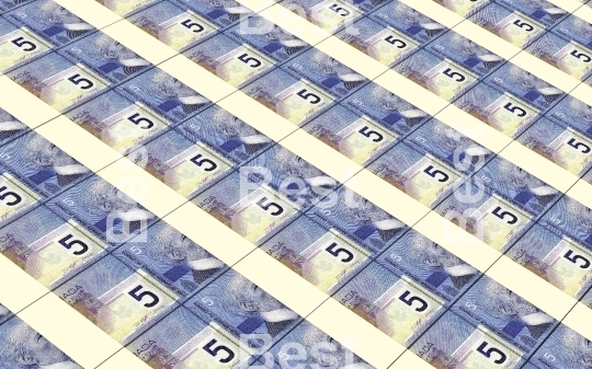 Canadian dollars money stacks background