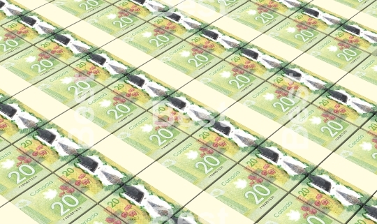 Canadian dollars money stacks background