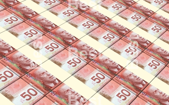 Canadian dollars money stacks background