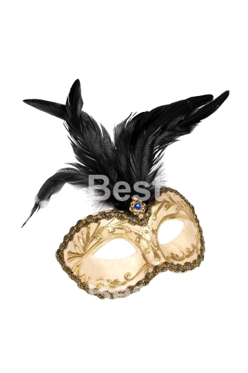 Carnival Venetian mask