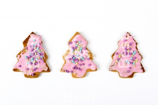 Christmas gingerbread cookies