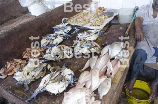 City market in Stone Town