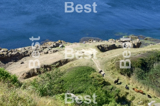 Cliffs on the Baltic Sea, Bornholm Island