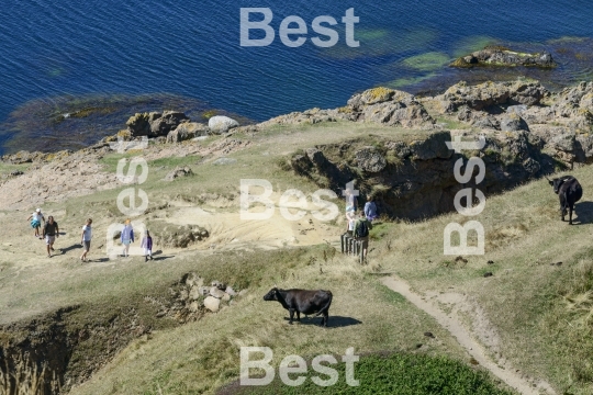 Cliffs on the Baltic Sea, Bornholm Island