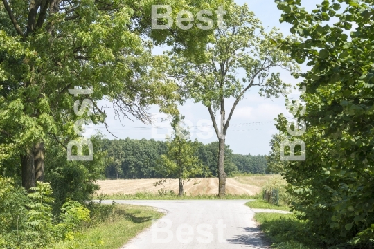 Country road