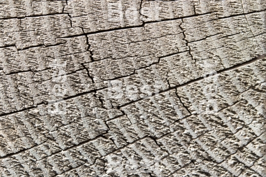 Cutting weathered wood