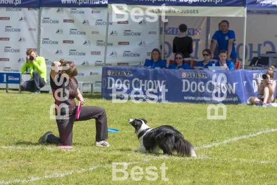 Dog Chow Disc Cup in Wroclaw, Poland Juni 1, 2014