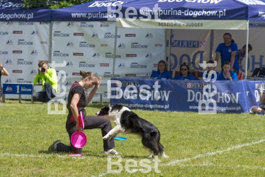 Dog Chow Disc Cup in Wroclaw, Poland Juni 1, 2014