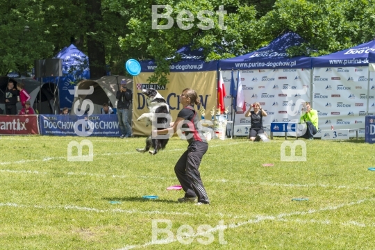 Dog Chow Disc Cup in Wroclaw, Poland Juni 1, 2014