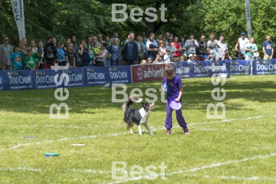 Dog Chow Disc Cup in Wroclaw, Poland Juni 1, 2014