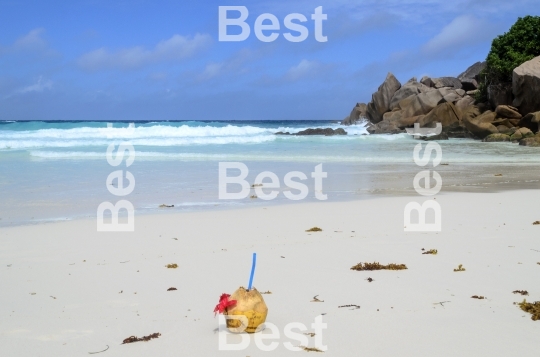 Drink with coconut on the beach