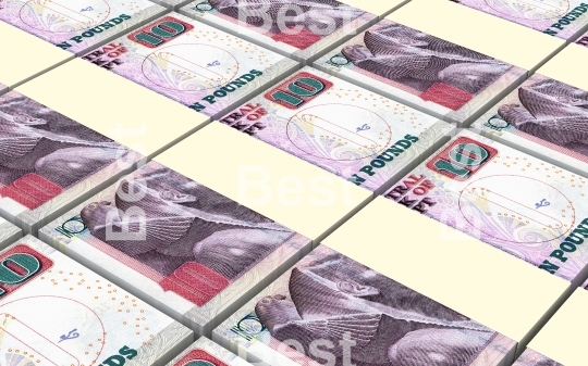 Egyptian pounds bills stacks background