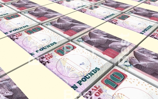 Egyptian pounds bills stacks background