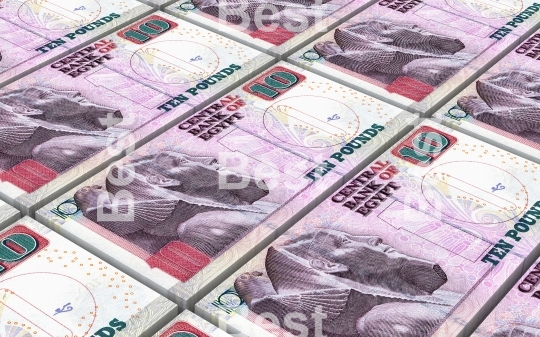Egyptian pounds bills stacks background