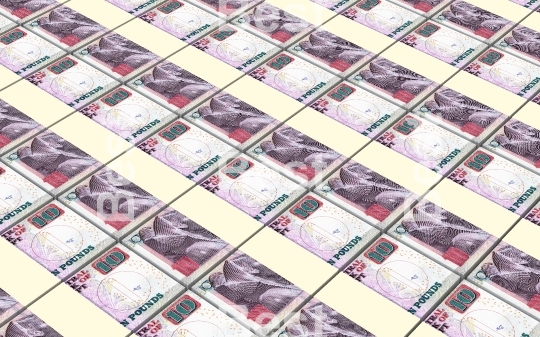 Egyptian pounds bills stacks background