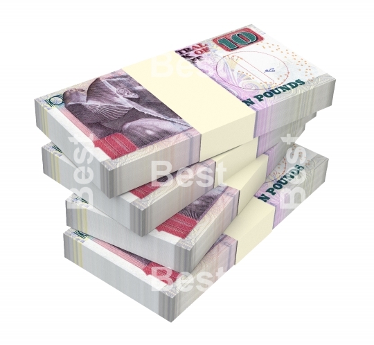 Egyptian pounds isolated on white with clipping path