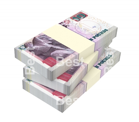 Egyptian pounds isolated on white with clipping path