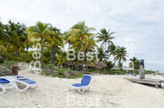 Empty beach chairs waiting for tourists in Cayo Guillermo