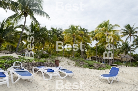 Empty beach chairs waiting for tourists in Cayo Guillermo