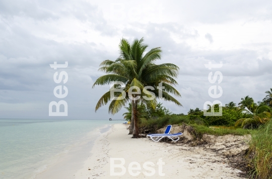 Empty beach chairs waiting for tourists in Cayo Guillermo