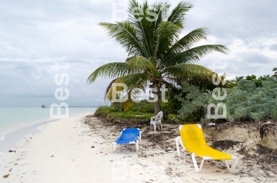 Empty beach chairs waiting for tourists in Cayo Guillermo
