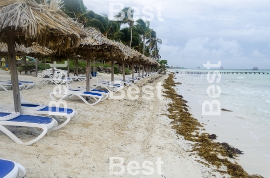 Empty beach chairs waiting for tourists in Cayo Guillermo