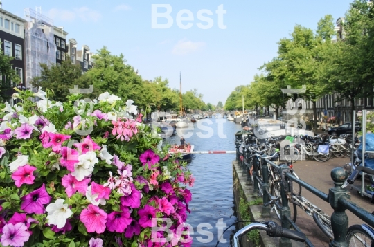 Flowers with bicycles in Amsterdam