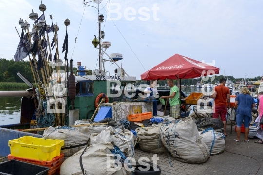 Fresh fish from the fishing boat