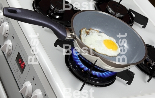 Fried egg