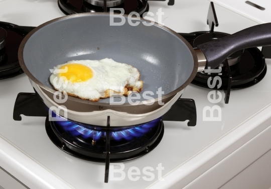 Fried egg