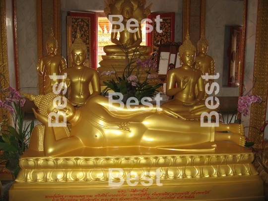 Golden buddha statues