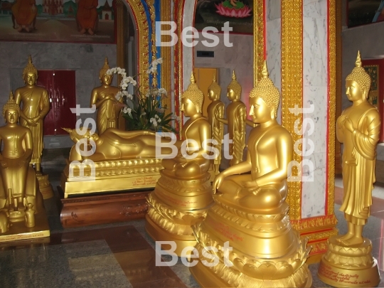 Golden buddha statues