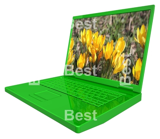 Green spring laptop isolated on white. 