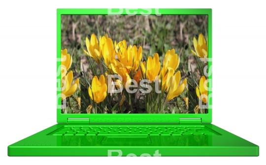 Green spring laptop isolated on white. 