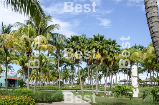 Holiday resort with park in Cayo Guillermo
