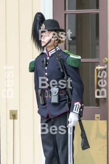 Honor guard in front of the Royal Palace