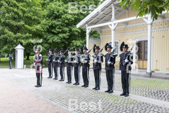 Honor guards in front of the Royal Palace